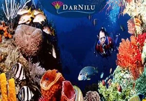 Wycieczka do Sharm el Luli