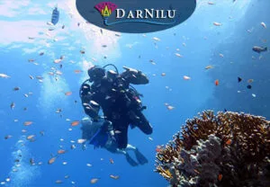 Nurkowanie dla poczatkujacych. Wycieczki z Sharm, Marsa Alam i Hurghady