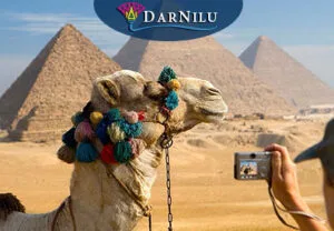Kair & Giza to też wielbłądy. Wycieczki do Kairu z Sharm, Marsa Alam i Hurghady.