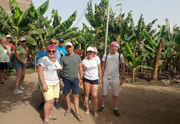 Bananowa wyspa z egzotycznymi owocoami. Wycieczki do Luksoru z Hurghady i Marsa Alam.