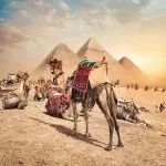 Piramidy w Gizie. Wycieczki z Sharm, Marsa Alam i Hurghady.